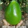 Avokado bacon(1 Adet)