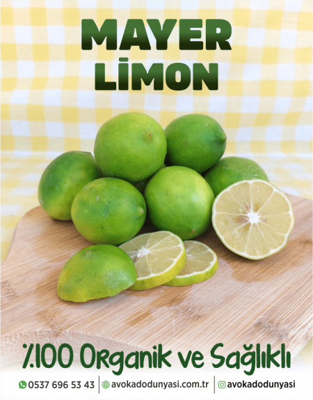 Mayer Limon (1 Kg)
