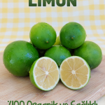 alanya-avokado-dunyasi-limon